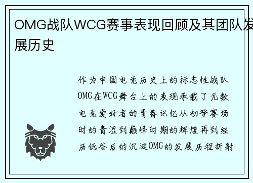 OMG战队WCG赛事表现回顾及其团队发展历史